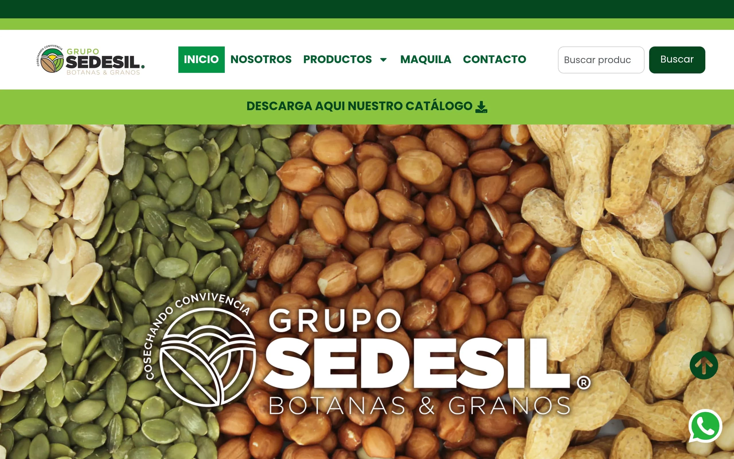 Grupo Sedesil