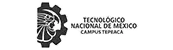 Agencia Redes Sociales 19 logo tec-tepeaca