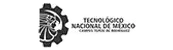 Agencia Redes Sociales 20 Logo tec-tepexi