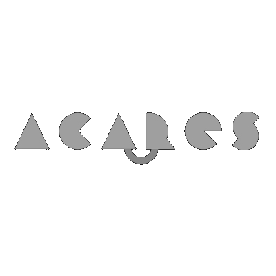Diseño de Páginas Web 29 ACARES