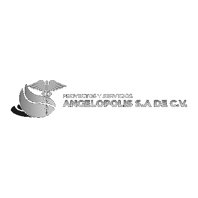 Diseño de Páginas Web 45 Proyectos y Servicios Angelópolis