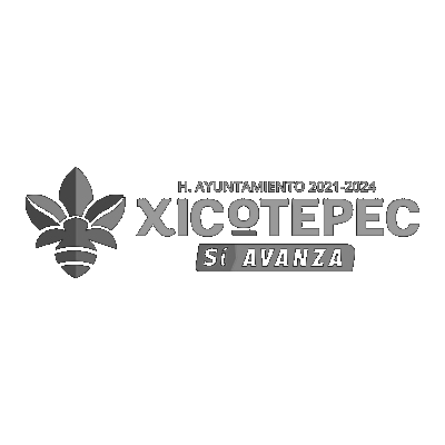 Diseño de Páginas Web 36 Ayuntamiento de Xicotepec