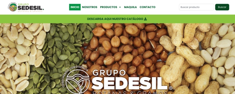Ejemplo de Sitio Web Corporativo Grupo SEDESIL