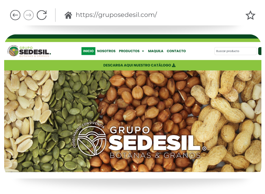 Grupo SEDESIL Sitio Web